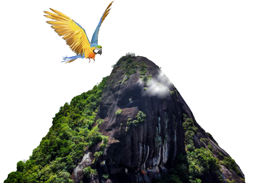 fondo imagen trabajo social